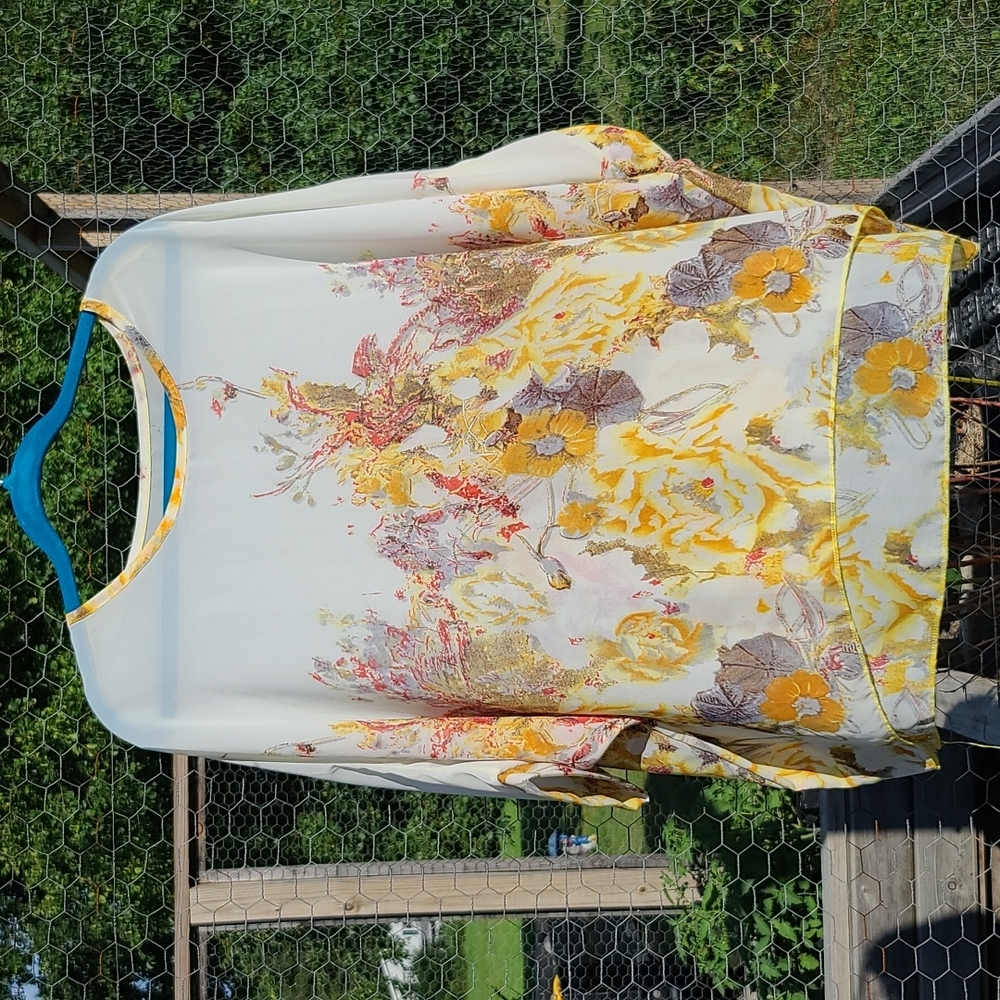 Stunning Sheer Cover blouse